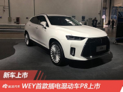 WEY׿ʽ܇P8 29.28f