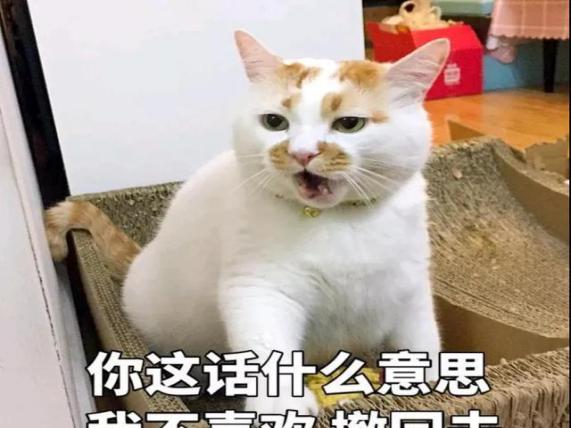 DƬ3.jpg